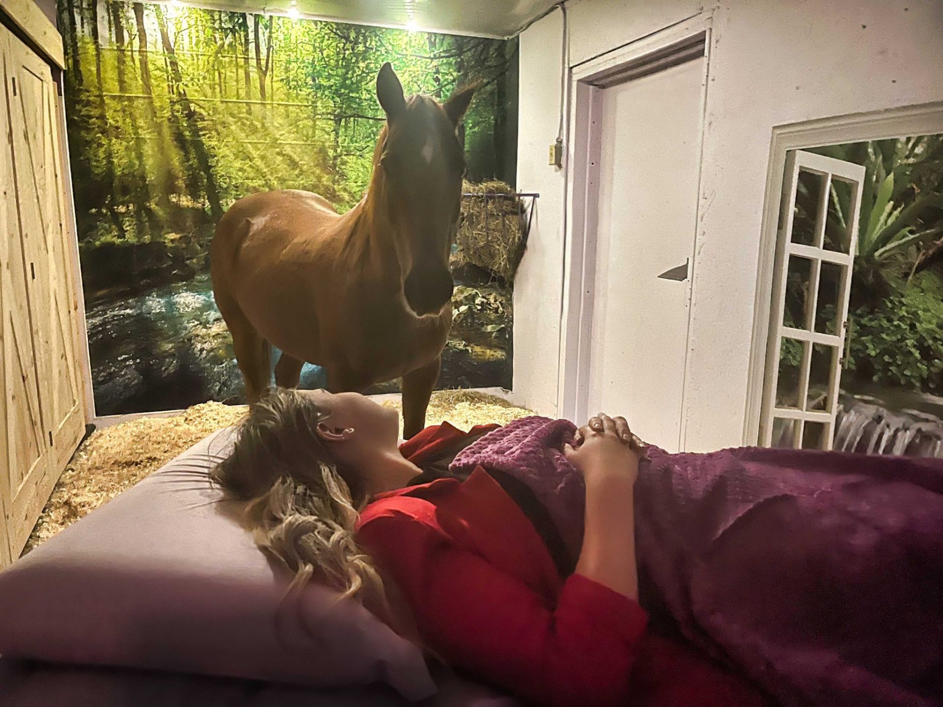 Séance de Reiki assisté par le cheval